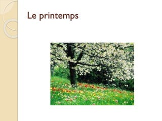 Le printemps