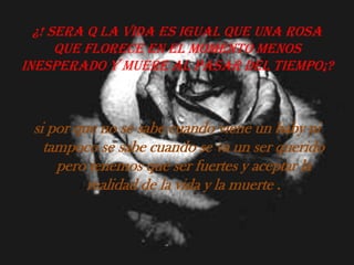 ¿! Sera q la vida es igual que una rosa que florece en el momento menos inesperado y muere al pasar del tiempo¡? si por que no se sabe cuando viene un baby ni tampoco se sabe cuando se va un ser querido pero tenemos que ser fuertes y aceptar la realidad de la vida y la muerte .