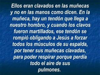 Ellos eran clavados en las muñecas y no en las manos como dicen. En la muñeca, hay un tendón que llega a nuestro hombro, y cuando los clavos fueron martillados, ese tendón se rompió obligando a Jesús a forzar todos los músculos de su espalda, por tener sus muñecas clavadas, para poder respirar porque perdía todo el aire de sus pulmones.   
