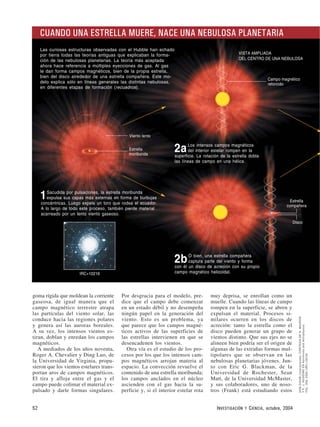 goma rígida que moldean la corriente
gaseosa, de igual manera que el
campo magnético terrestre atrapa
las partículas del viento solar, las
conduce hacia las regiones polares
y genera así las auroras boreales.
A su vez, los intensos vientos es-
tiran, doblan y enredan los campos
magnéticos.
A mediados de los años noventa,
Roger A. Chevalier y Ding Luo, de
la Universidad de Virginia, propu-
sieron que los vientos estelares trans-
portan aros de campos magnéticos.
El tira y afloja entre el gas y el
campo puede colimar el material ex-
pulsado y darle formas singulares.
Por desgracia para el modelo, pre-
dice que el campo debe comenzar
en un estado débil y no desempeña
ningún papel en la generación del
viento. Esto es un problema, ya
que parece que los campos magné-
ticos activos de las superficies de
las estrellas intervienen en que se
desencadenen los vientos.
Otra vía es el estudio de los pro-
cesos por los que los intensos cam-
pos magnéticos arrojan materia al
espacio. La convección revuelve el
contenido de una estrella moribunda;
los campos anclados en el núcleo
ascienden con el gas hacia la su-
perficie y, si el interior estelar rota
muy deprisa, se enrollan como un
muelle. Cuando las líneas de campo
rompen en la superficie, se abren y
expulsan el material. Procesos si-
milares ocurren en los discos de
acreción: tanto la estrella como el
disco pueden generar un grupo de
vientos distinto. Que sus ejes no se
alineen bien podría ser el origen de
algunas de las extrañas formas mul-
tipolares que se observan en las
nebulosas planetarias jóvenes. Jun-
to con Eric G. Blackman, de la
Universidad de Rochester, Sean
Matt, de la Universidad McMaster,
y sus colaboradores, uno de noso-
tros (Frank) está estudiando estos
52 INVESTIGACIÓN Y CIENCIA, octubre, 2004
DONDIXON(ilustraciones);CORTESIADEN.MAURON
YP.J.HUGGINSENAstronomyandAstrophysics,
VOL.359;2000(IRC+10216)
Campo magnético
retorcido
VISTA AMPLIADA
DEL CENTRO DE UNA NEBULOSA
Estrella
compañera
Disco
Viento lento
Estrella
moribunda
CUANDO UNA ESTRELLA MUERE, NACE UNA NEBULOSA PLANETARIA
Las curiosas estructuras observadas con el Hubble han echado
por tierra todas las teorías antiguas que explicaban la forma-
ción de las nebulosas planetarias. La teoría más aceptada
ahora hace referencia a múltiples eyecciones de gas. Al gas
le dan forma campos magnéticos, bien de la propia estrella,
bien del disco alrededor de una estrella compañera. Este mo-
delo explica sólo en líneas generales las distintas nebulosas,
en diferentes etapas de formación (recuadros).
2aLos intensos campos magnéticos
del interior estelar rompen en la
superficie. La rotación de la estrella dobla
las líneas de campo en una hélice.
1Sacudida por pulsaciones, la estrella moribunda
expulsa sus capas más externas en forma de burbujas
concéntricas. Luego expele un toro que rodea el ecuador.
A lo largo de todo este proceso, también pierde material
acarreado por un lento viento gaseoso.
2bO bien, una estrella compañera
captura parte del viento y forma
con él un disco de acreción con su propio
campo magnético helicoidal.IRC+10216
 