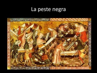 La peste negra

 
