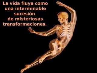 La vida fluye como
 una interminable
     sucesión
  de misteriosas
transformaciones.
 