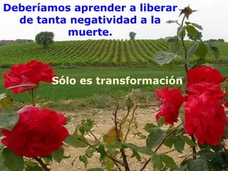 Deberíamos aprender a liberar
  de tanta negatividad a la
          muerte.



        Sólo es transformación
 