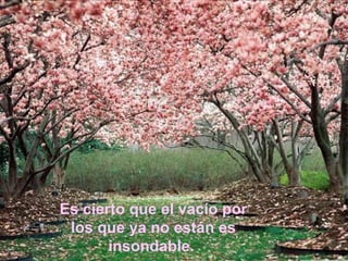 Es cierto que el vacío por
 los que ya no están es
       insondable.
 