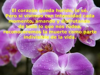 El corazón queda herido, lo sé.
 Pero si vivimos con intensidad cada
  momento, amando y disfrutando
      de todo lo que nos rodea,
reconoceremos la muerte como parte
         indivisible de la vida.
 