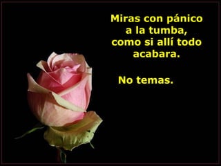 Miras con pánico
   a la tumba,
como si allí todo
    acabara.

 No temas.
 