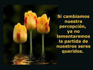 Si cambiamos
    nuestra
 percepción,
     ya no
lamentaremos
 la partida de
nuestros seres
   queridos.
 