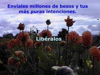 Envíales millones de besos y tus
    más puras intenciones.




           Libéralos
 