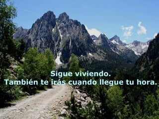 Sigue viviendo.
También te irás cuando llegue tu hora.
 
