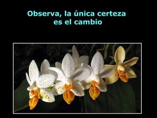 Observa, la única certeza
      es el cambio
 