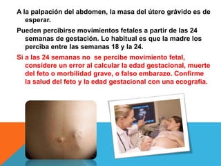 A la palpación del abdomen, la masa del útero grávido es de
esperar.
Pueden percibirse movimientos fetales a partir de las 24
semanas de gestación. Lo habitual es que la madre los
perciba entre las semanas 18 y la 24.
Si a las 24 semanas no se percibe movimiento fetal,
considere un error al calcular la edad gestacional, muerte
del feto o morbilidad grave, o falso embarazo. Confirme
la salud del feto y la edad gestacional con una ecografía.
 