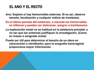 EL ANO Y EL RECTO
Ano: Explore si hay hemorroides externas. Si es así, observe
tamaño, localización y cualquier indicio de trombosis.
En el último periodo del embarazo, a menudo las hemorroides
se inflaman y pueden ser dolorosas, sangrar o trombosarse.
La exploración rectal no es habitual en la asistencia prenatal, a
no ser que los síntomas justifiquen la investigación. (Como
en masas o sangrado rectal)
Puede ser útil para determinar el tamaño de un útero en
retroversión o retroflexión, pero la ecografía transvaginal
proporciona mayor información.
 