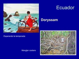Ecuador Esperando la temporada  Doryssam  Manglar costero 