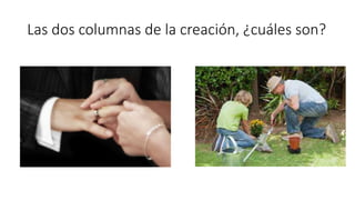 Las dos columnas de la creación, ¿cuáles son?
 