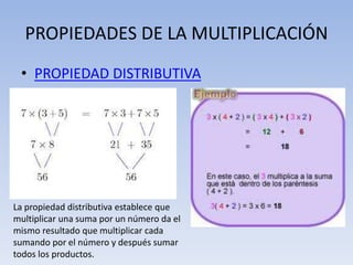 PROPIEDADES DE LA MULTIPLICACIÓN
• PROPIEDAD DISTRIBUTIVA
La propiedad distributiva establece que
multiplicar una suma por un número da el
mismo resultado que multiplicar cada
sumando por el número y después sumar
todos los productos.
