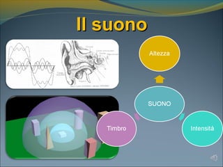 Il suonoIl suono
 