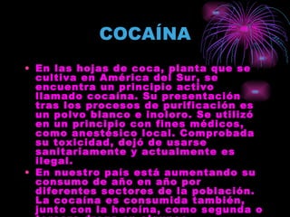 COCAÍNA En las hojas de coca, planta que se cultiva en América del Sur, se encuentra un principio activo llamado cocaína. Su presentación tras los procesos de purificación es un polvo blanco e inoloro. Se utilizó en un principio con fines médicos, como anestésico local. Comprobada su toxicidad, dejó de usarse sanitariamente y actualmente es ilegal. En nuestro país está aumentando su consumo de año en año por diferentes sectores de la población. La cocaína es consumida también, junto con la heroína, como segunda o tercera droga en algunos drogodependientes. 