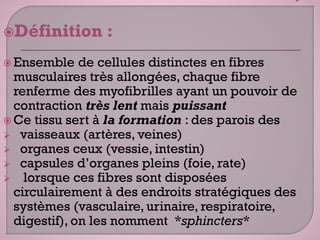 Définition :
 Ensemble de cellules distinctes en fibres
musculaires très allongées, chaque fibre
renferme des myofibrilles ayant un pouvoir de
contraction très lent mais puissant
 Ce tissu sert à la formation : des parois des
 vaisseaux (artères, veines)
 organes ceux (vessie, intestin)
 capsules d’organes pleins (foie, rate)
 lorsque ces fibres sont disposées
circulairement à des endroits stratégiques des
systèmes (vasculaire, urinaire, respiratoire,
digestif), on les nomment *sphincters*
 