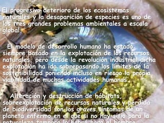 El progresivo deterioro de los ecosistemas
naturales y la desaparición de especies es uno de
los tres grandes problemas ambientales a escala
global.
El modelo de desarrollo humano ha estado
siempre basado en la explotación de los recursos
naturales, pero desde la revolución industrial dicha
explotación ha ido sobrepasando los límites de la
sostenibilidad poniendo incluso en riesgo la propia
viabilidad de muchas actividades humanas.
Alteración y destrucción de hábitats,
sobreexplotación de recursos naturales y pérdida
de biodiversidad son los graves síntomas de un
planeta enfermo en el que si no hay sitio para la
 