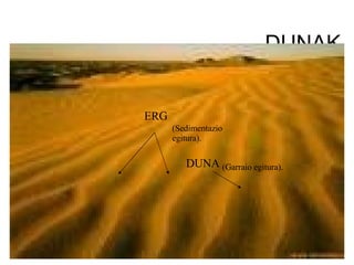 DUNAK DUNA (Garraio egitura). ERG (Sedimentazio egitura). 