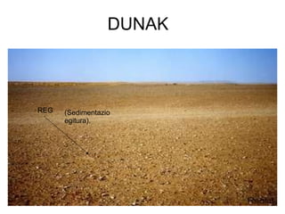 DUNAK REG (Sedimentazio egitura). 