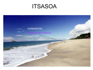ITSASOA HONDARTZA (Sedimentazio egitura). 