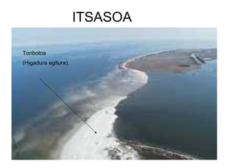 ITSASOA Tonboloa (Higadura egitura). 