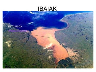 IBAIAK ESTUARIOA (Higadura egitura). 