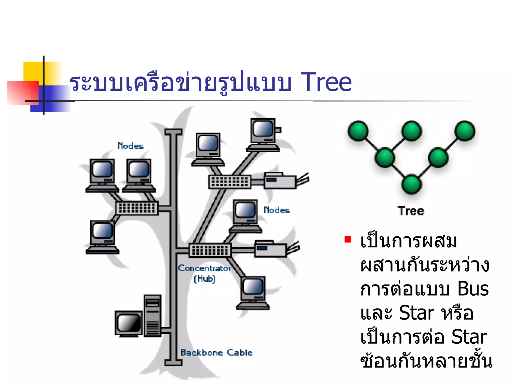 ระบบเครือข่ายรูปแบบ   Tree เป็นการผสมผสานกันระหว่างการต่อแบบ  Bus  และ  Star  หรือเป็นการต่อ  Star  ซ้อนกันหลายชั้น 