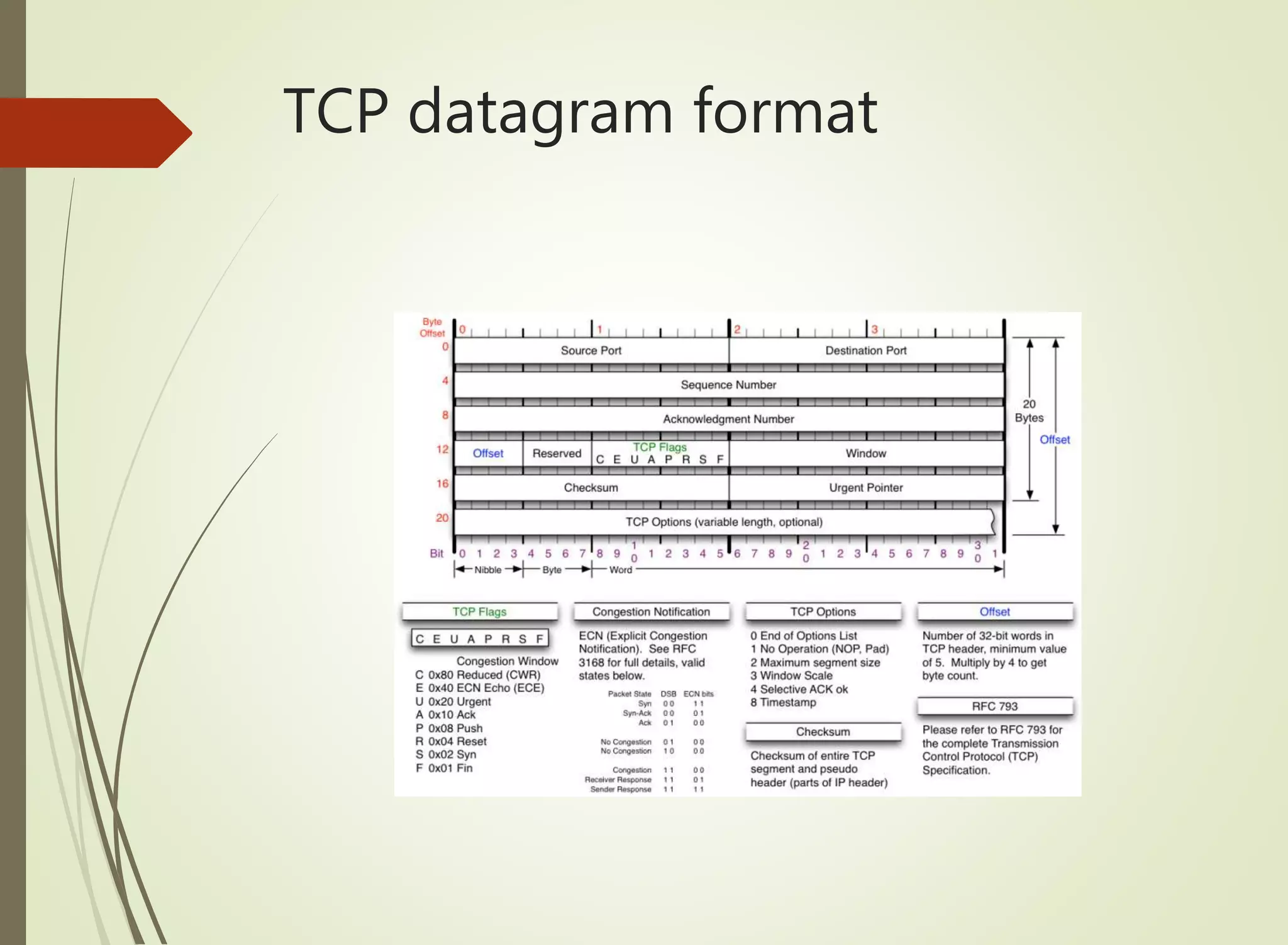 TCP datagram format
 