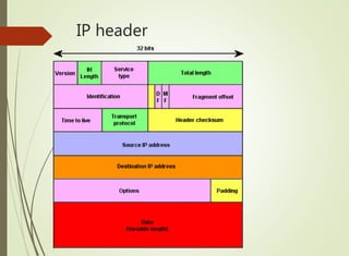 IP header
 