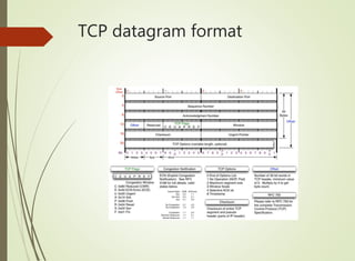 TCP datagram format
 