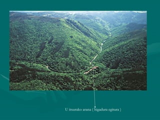 U itxurako arana ( higadura egitura ) 