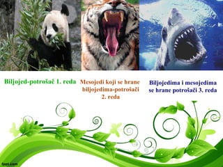 Biljojed-potrošač 1. reda Mesojedi koji se hrane
biljojedima-potrošači
2. reda
Biljojedima i mesojedima
se hrane potrošači 3. reda
 