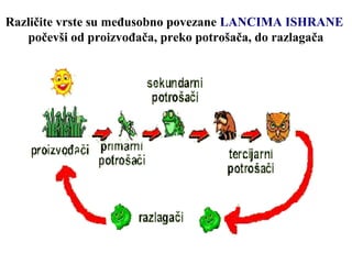 Različite vrste su međusobno povezane LANCIMA ISHRANE
počevši od proizvođača, preko potrošača, do razlagača
 