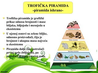 TROFIČKA PIRAMIDA
-piramida ishrane-
Trofička piramida je grafički
prikaz odnosa brojnosti i mase
biljaka, biljojeda i mesojeda u
ekosistemu
U njenoj osnovi su zelene biljke,
odnosno proizvođači, čija je
brojnost i ukupna masa najveća
u ekosistemu
Piramidu dalje čine potrošači
prvog reda (biljojedi), pa
potrošači drugog i trećeg reda.
 