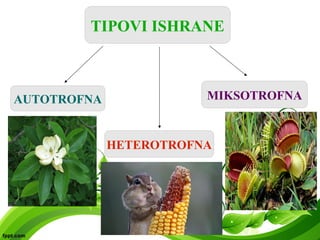 TIPOVI ISHRANE
AUTOTROFNA
HETEROTROFNA
MIKSOTROFNA
 
