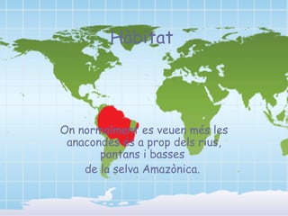 Hàbitat




On normalment es veuen més les
 anacondes és a prop dels rius,
       pantans i basses
    de la selva Amazònica.
 