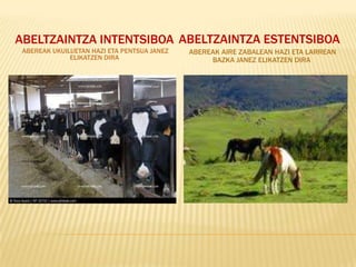 ABELTZAINTZA INTENTSIBOA ABELTZAINTZA ESTENTSIBOA
 ABEREAK UKUILUETAN HAZI ETA PENTSUA JANEZ   ABEREAK AIRE ZABALEAN HAZI ETA LARREAN
              ELIKATZEN DIRA                      BAZKA JANEZ ELIKATZEN DIRA
 