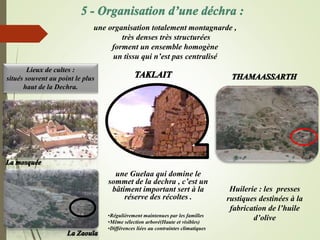 une organisation totalement montagnarde ,
très denses très structurées
forment un ensemble homogène
un tissu qui n’est pas centralisé
Lieux de cultes :
situés souvent au point le plus
haut de la Dechra.
une Guelaa qui domine le
sommet de la dechra , c’est un
bâtiment important sert à la
réserve des récoltes .
•Régulièrement maintenues par les familles
•Même sélection arboré(Haute et visibles)
•Différences liées au contraintes climatiques
Huilerie : les presses
rustiques destinées à la
fabrication de l’huile
d’olive
 