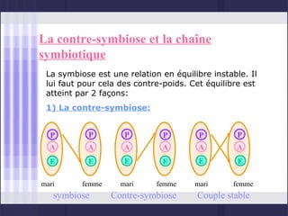 La contre-symbiose et la chaîne
symbiotique
 La symbiose est une relation en équilibre instable. Il
 lui faut pour cela des contre-poids. Cet équilibre est
 atteint par 2 façons:
 1) La contre-symbiose:


  P        P         P        P         P        P
  A        A         A        A         A        A
  E        E         E        E         E         E

mari      femme     mari     femme     mari     femme
   symbiose       Contre-symbiose      Couple stable
 