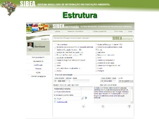 Estrutura 