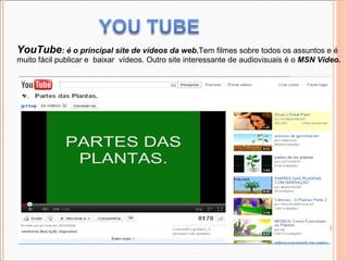 YouTube : é o principal site de vídeos da web. Tem filmes sobre todos os assuntos e é muito fácil publicar e  baixar  vídeos. Outro site interessante de audiovisuais é o  MSN Vídeo. 