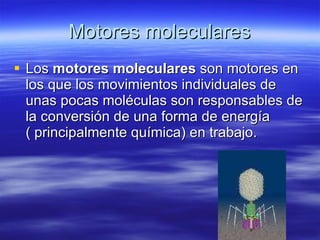 Motores moleculares Los  motores moleculares  son motores en los que los movimientos individuales de unas pocas moléculas son responsables de la conversión de una forma de energía ( principalmente química) en trabajo.  