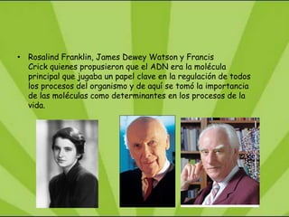 • Rosalind Franklin, James Dewey Watson y Francis
  Crick quienes propusieron que el ADN era la molécula
  principal que jugaba un papel clave en la regulación de todos
  los procesos del organismo y de aquí se tomó la importancia
  de las moléculas como determinantes en los procesos de la
  vida.
 