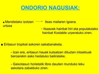 ONDORIO NAGUSIAK: ■  Mendietako izotzen  urtzea Itsas mailaren igoera. ■  Eritasun tropikal askoren sakabanaketa. - Izan ere, eritasun hauek kutsatzen dituzten intsektuak  beroarekin asko hedatuko bailirateke. - Gaixotasun horietatik libre dauden munduko leku  askotara zabalduko ziren. Itsasoek hainbat hiri eta populatutako hainbat Kostalde urperatuko ziren.   