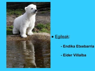●  Egileak : - Endika Etxebarria - Eider Villalba  