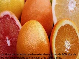 Los tipos de naranjas pueden extenderse a más de 600, dos de
los más reconocidos son la Navel y las Valencianas.
 