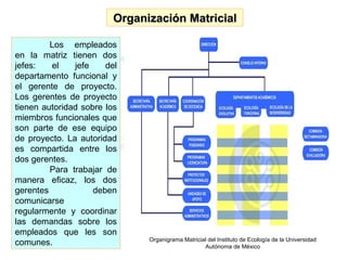 Organización Matricial Los empleados en la matriz tienen dos jefes: el jefe del departamento funcional y el gerente de proyecto. Los gerentes de proyecto tienen autoridad sobre los miembros funcionales que son parte de ese equipo de proyecto. La autoridad es compartida entre los dos gerentes. Para trabajar de manera eficaz, los dos gerentes deben comunicarse regularmente y coordinar las demandas sobre los empleados que les son comunes. Organigrama Matricial del Instituto de Ecología de la Universidad Autónoma de México 
