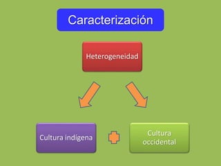 Caracterización
Heterogeneidad
Cultura
occidental
Cultura indígena
 